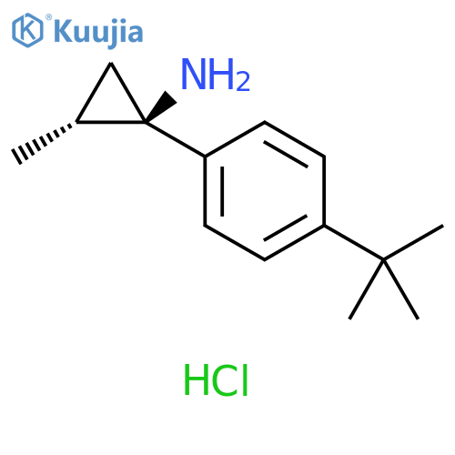 rac-(1R,2R)-1-(4-tert-butylphenyl)-2-methylcyclopropan-1-amine hydrochloride structure