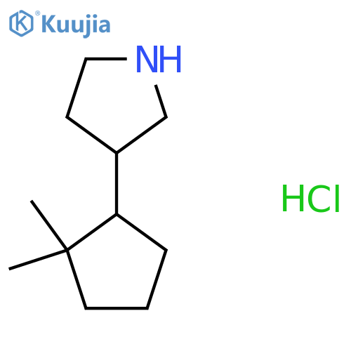 3-(2,2-Dimethylcyclopentyl)pyrrolidine hydrochloride structure