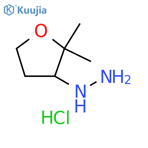 (2,2-dimethyloxolan-3-yl)hydrazine hydrochloride structure