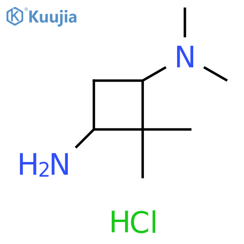 N1,N1,2,2-tetramethylcyclobutane-1,3-diamine dihydrochloride, Mixture of diastereomers structure