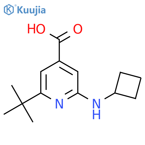 2-Tert-butyl-6-(cyclobutylamino)pyridine-4-carboxylic acid structure