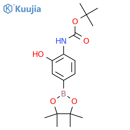 tert-butyl N-2-hydroxy-4-(4,4,5,5-tetramethyl-1,3,2-dioxaborolan-2-yl)phenylcarbamate structure