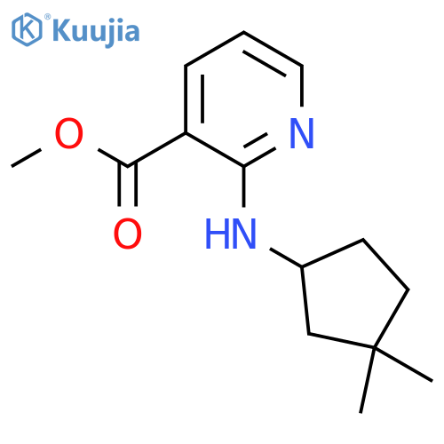 Methyl 2-[(3,3-dimethylcyclopentyl)amino]pyridine-3-carboxylate structure