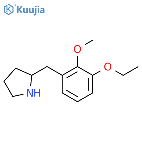 2-(3-ethoxy-2-methoxyphenyl)methylpyrrolidine structure