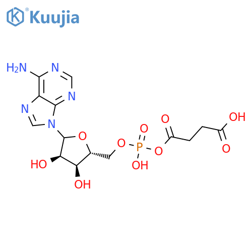 5'-Adenylic acid,monoanhydride with butanedioic acid (9CI) structure