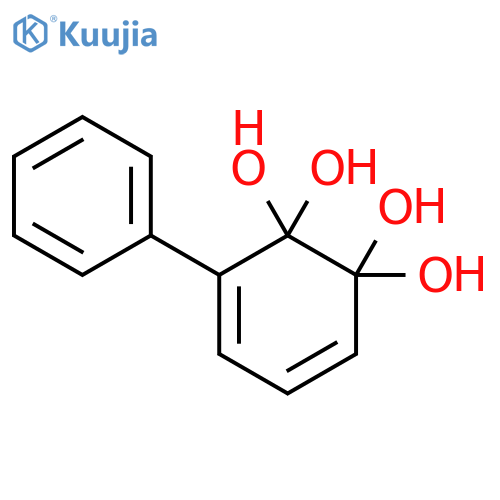 [1,1-Biphenyl]-2,2,3,3-tetrol(9CI) structure