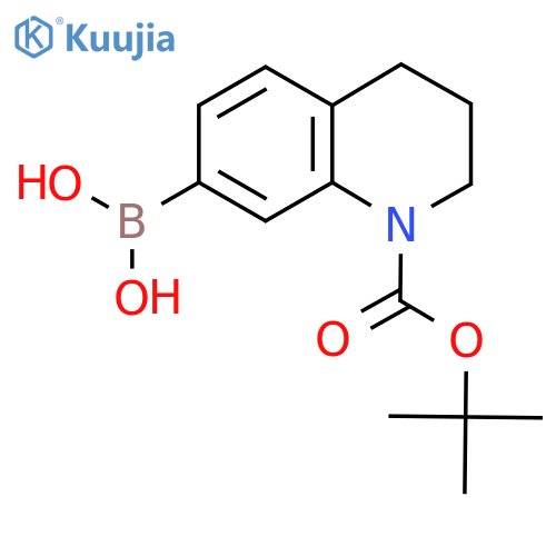 1-BOC-1,2,3,4-Tetrahydroquinoline-7-boronic acid structure