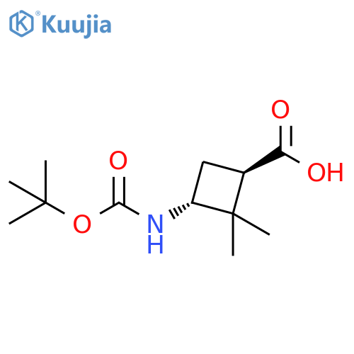 (1R,3R)-3-(tert-butoxycarbonylamino)-2,2-dimethyl-cyclobutanecarboxylic acid structure