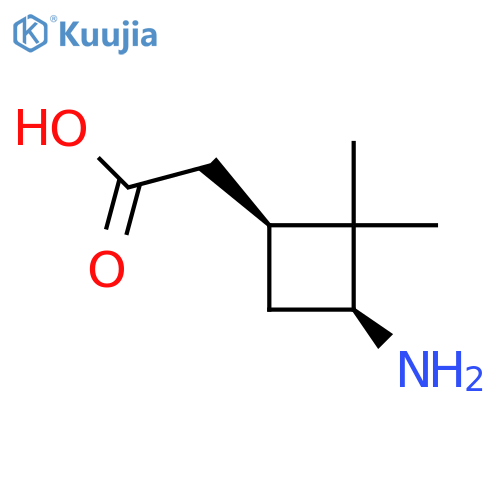 rac-2-(1R,3R)-3-amino-2,2-dimethylcyclobutylacetic acid structure