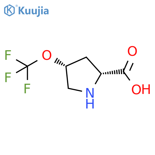 (2R,4R)-4-(trifluoromethoxy)pyrrolidine-2-carboxylic acid structure