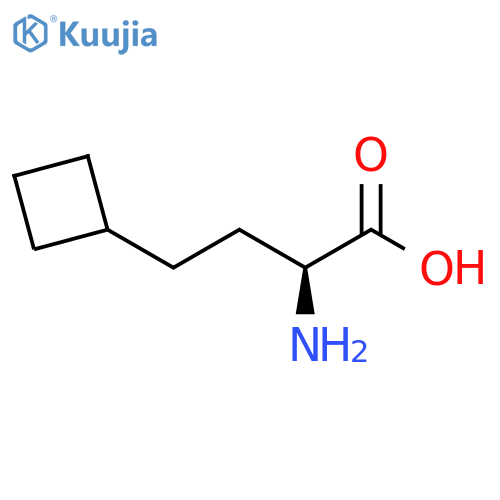 (2S)-2-amino-4-cyclobutyl-butanoic acid structure