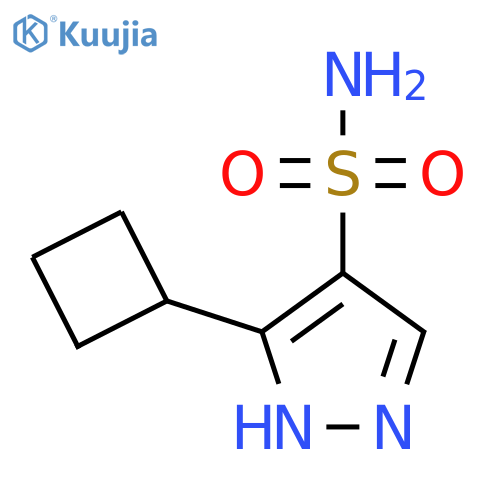 3-cyclobutyl-1H-pyrazole-4-sulfonamide structure