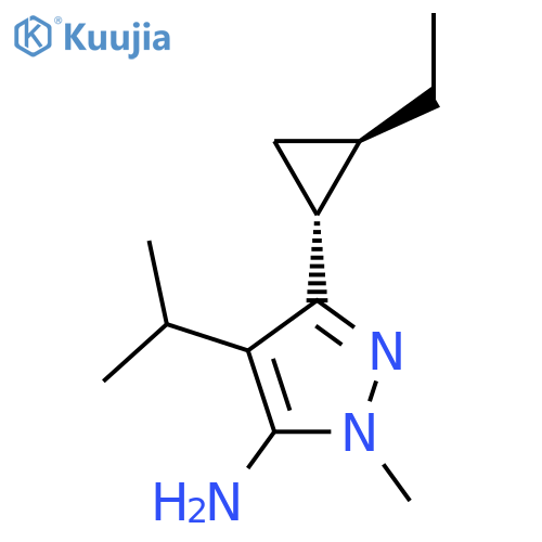 rac-3-(1R,2R)-2-ethylcyclopropyl-1-methyl-4-(propan-2-yl)-1H-pyrazol-5-amine structure