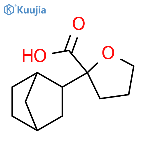 2-{bicyclo2.2.1heptan-2-yl}oxolane-2-carboxylic acid structure
