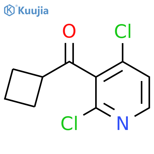 Cyclobutyl(2,4-dichloropyridin-3-yl)methanone structure