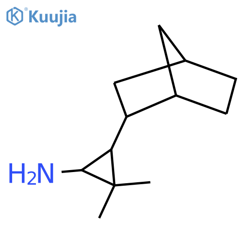 3-{bicyclo2.2.1heptan-2-yl}-2,2-dimethylcyclopropan-1-amine structure