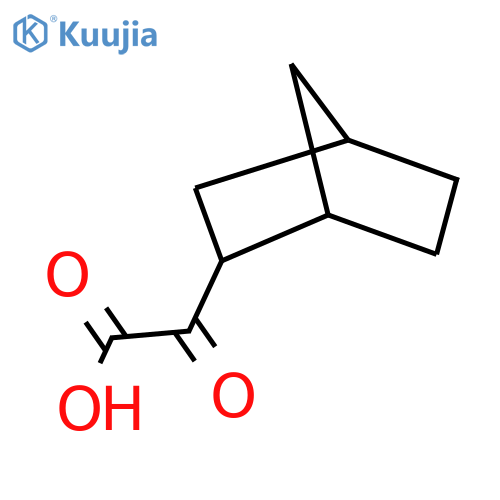2-{bicyclo2.2.1heptan-2-yl}-2-oxoacetic acid structure