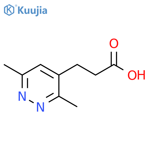 3-(3,6-dimethylpyridazin-4-yl)propanoic acid structure