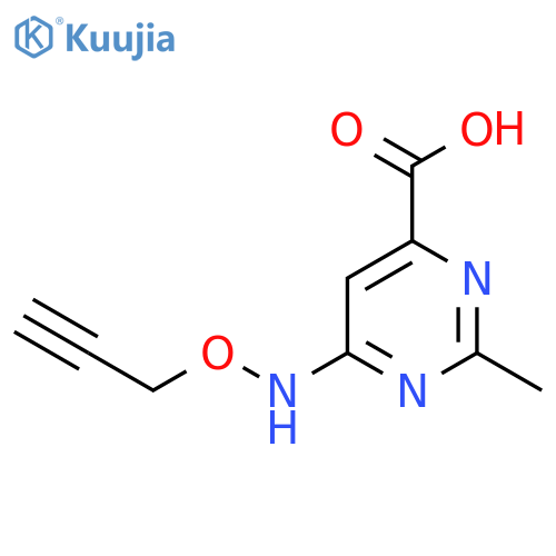 2-methyl-6-(prop-2-yn-1-yloxy)aminopyrimidine-4-carboxylic acid structure