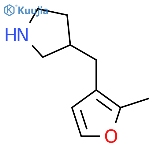 3-(2-methylfuran-3-yl)methylpyrrolidine structure