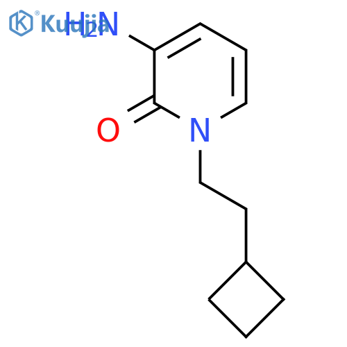 3-Amino-1-(2-cyclobutylethyl)-1,2-dihydropyridin-2-one structure