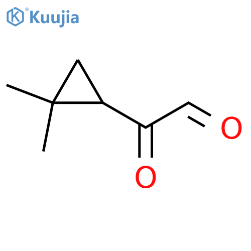 2-(2,2-dimethylcyclopropyl)-2-oxoacetaldehyde structure