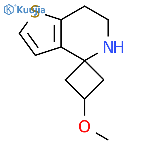 3-methoxy-6',7'-dihydro-5'H-spirocyclobutane-1,4'-thieno3,2-cpyridine structure