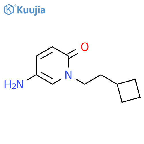 5-amino-1-(2-cyclobutylethyl)-1,2-dihydropyridin-2-one structure