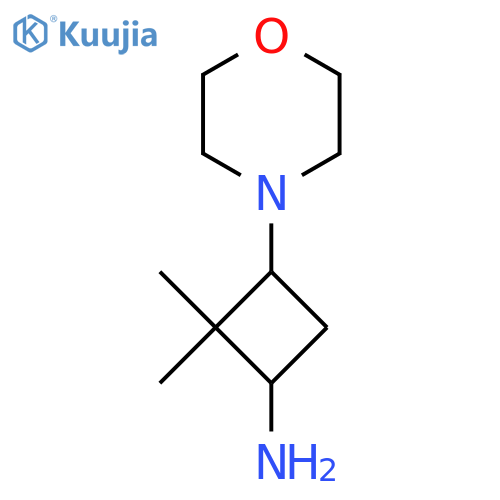 2,2-Dimethyl-3-(morpholin-4-yl)cyclobutan-1-amine structure