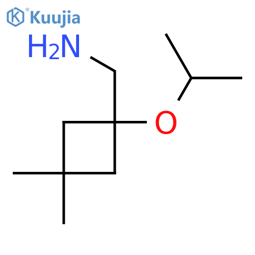 3,3-dimethyl-1-(propan-2-yloxy)cyclobutylmethanamine structure