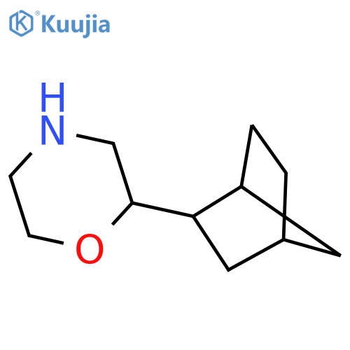 2-{bicyclo2.2.1heptan-2-yl}morpholine structure