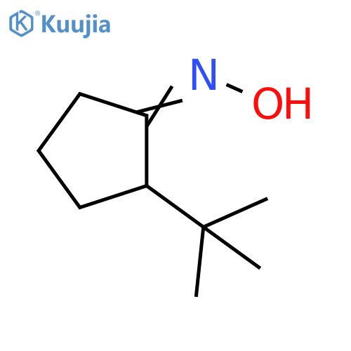 N-(2-tert-butylcyclopentylidene)hydroxylamine structure