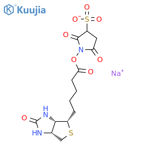 Biotin 3-sulfo-N-hydroxysuccinimide ester sodium salt structure