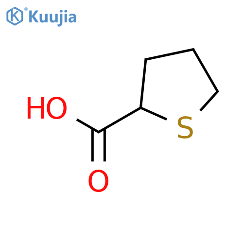 thiolane-2-carboxylic acid structure