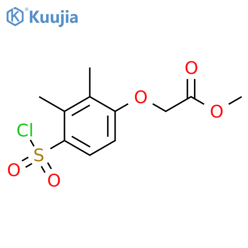 ACETIC ACID, [4-(CHLOROSULFONYL)-2,3-DIMETHYLPHENOXY]-, METHYL ESTER structure
