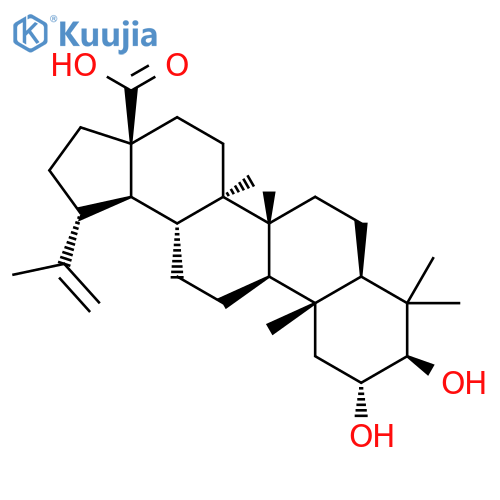 Alphitolic acid structure