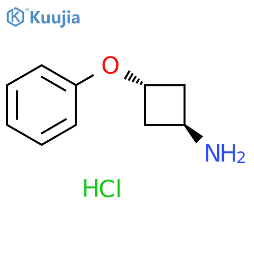 3-phenoxycyclobutanamine hydrochloride, trans, trans structure