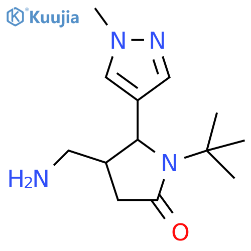 4-(aminomethyl)-1-tert-butyl-5-(1-methyl-1H-pyrazol-4-yl)pyrrolidin-2-one structure