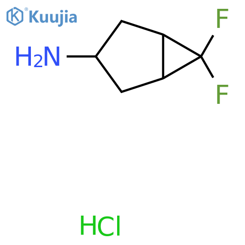 6,6-Difluorobicyclo[3.1.0]hexan-3-amine hydrochloride structure