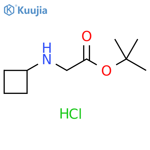 tert-butyl 2-(cyclobutylamino)acetate hydrochloride structure