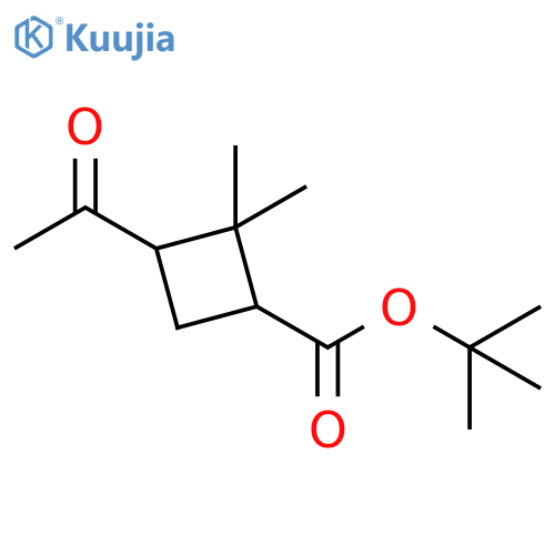 Tert-butyl 3-acetyl-2,2-dimethylcyclobutane-1-carboxylate structure