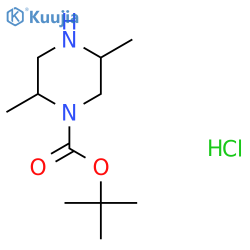 Tert-Butyl 2,5-dimethylpiperazine-1-carboxylate hydrochloride structure