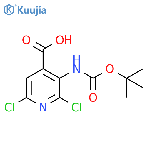 4-Pyridinecarboxylic acid, 2,6-dichloro-3-[[(1,1-dimethylethoxy)carbonyl]amino]- structure