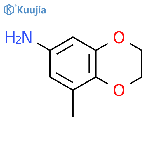 8-methyl-2,3-dihydro-1,4-benzodioxin-6-amine structure