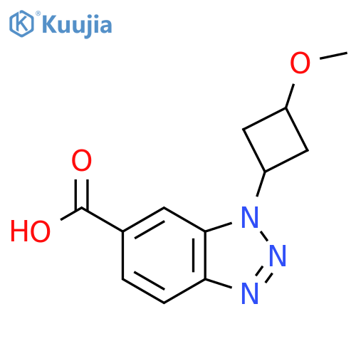 1-(3-methoxycyclobutyl)-1H-1,2,3-benzotriazole-6-carboxylic acid structure