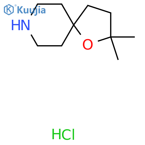 2,2-Dimethyl-1-oxa-8-aza-spiro[4.5]decane hydrochloride structure