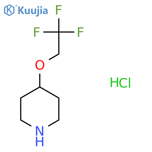 4-(2,2,2-trifluoroethoxy)piperidine;hydrochloride structure