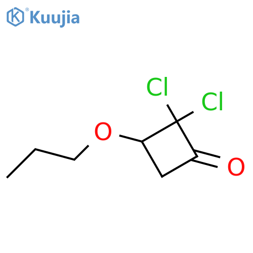 Cyclobutanone, 2,2-dichloro-3-propoxy- structure