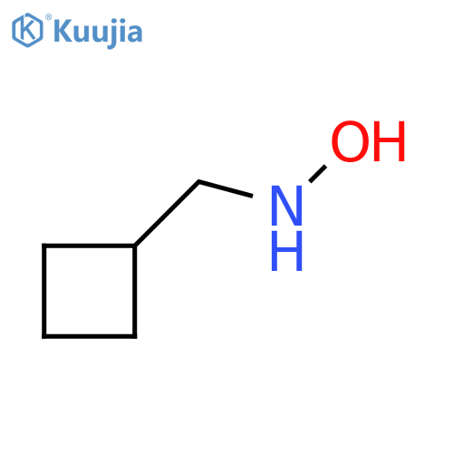 N-(cyclobutylmethyl)hydroxylamine structure