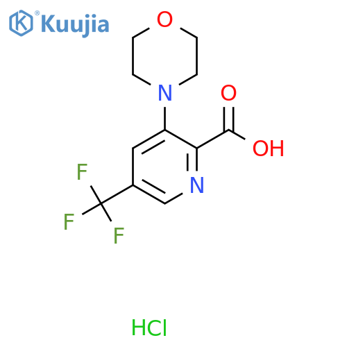 3-Morpholin-4-yl-5-(trifluoromethyl)pyridine-2-carboxylic acid;hydrochloride structure